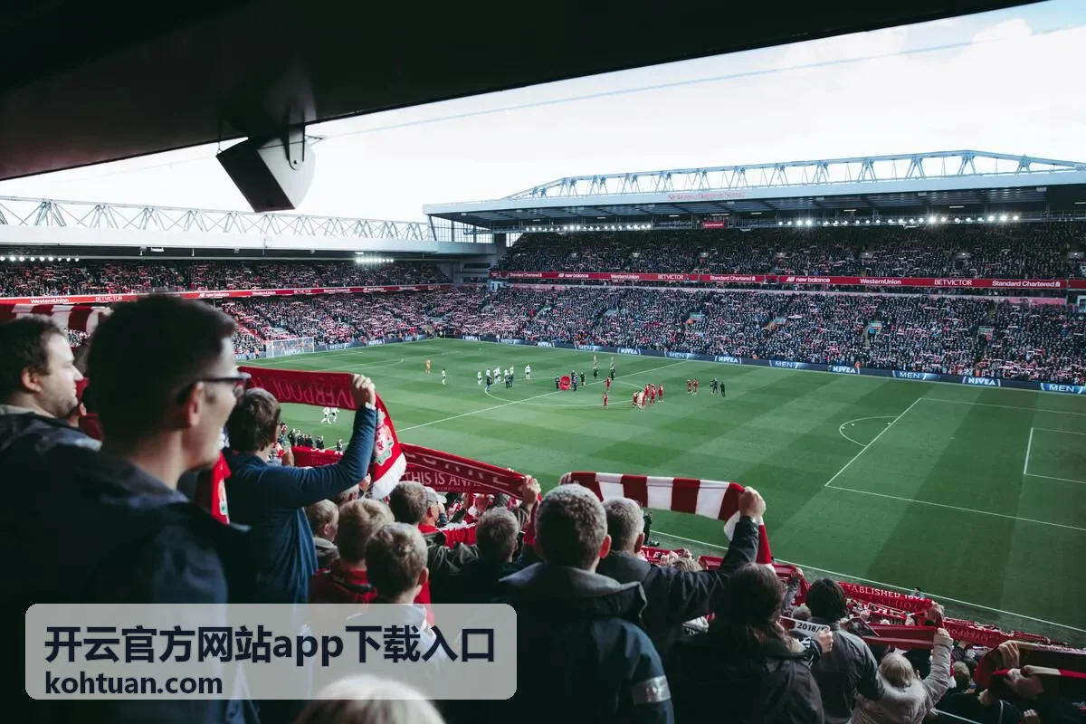 开云官方网站app下载入口的安装包获取与版本核对页面示意