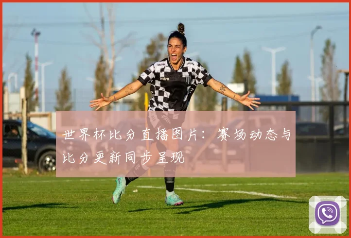世界杯比分直播图片:赛场动态与比分更新同步呈现