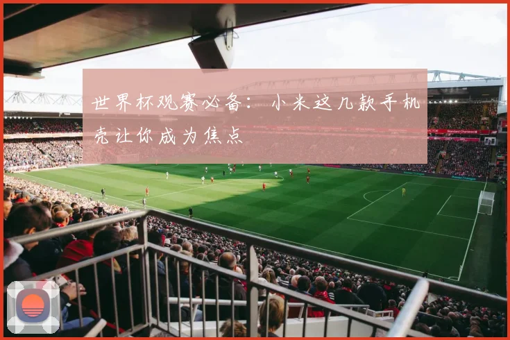世界杯观赛必备:小米这几款手机壳让你成为焦点