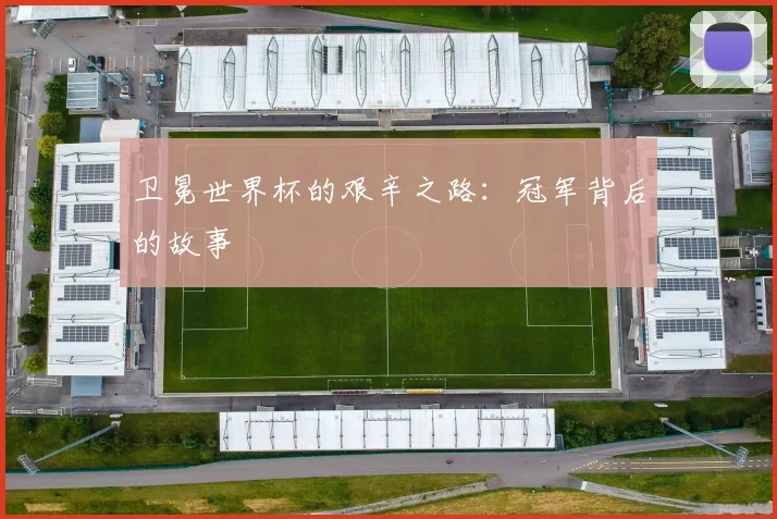 卫冕世界杯的艰辛之路：冠军背后的故事
