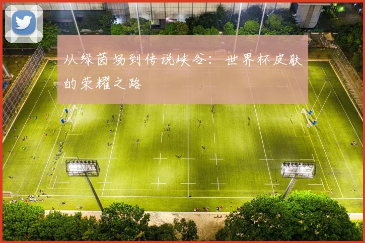 从绿茵场到传说峡谷:世界杯皮肤的荣耀之路