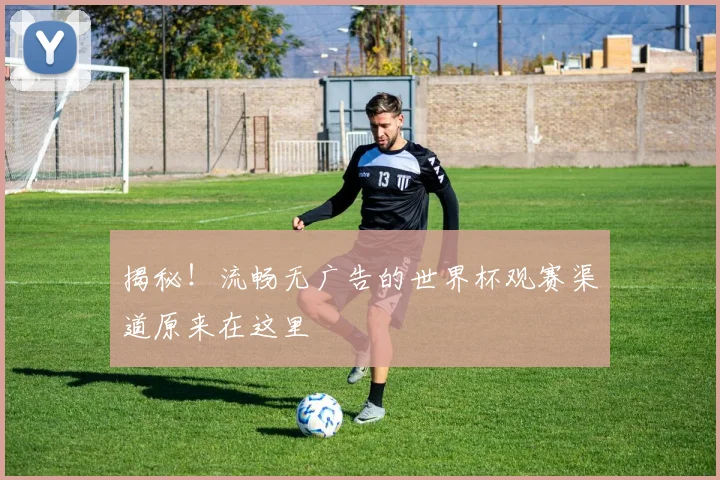 揭秘！流畅无广告的世界杯观赛渠道原来在这里