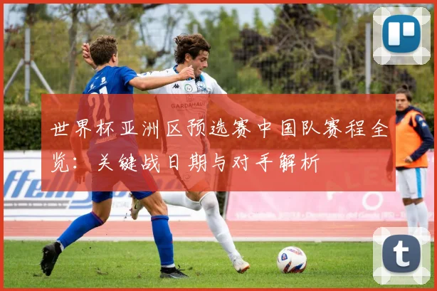 世界杯亚洲区预选赛中国队赛程全览：关键战日期与对手解析