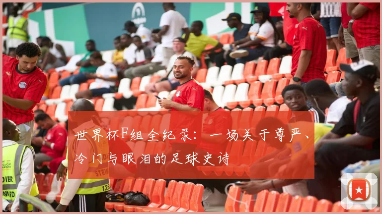 世界杯F组全纪录：一场关于尊严、冷门与眼泪的足球史诗