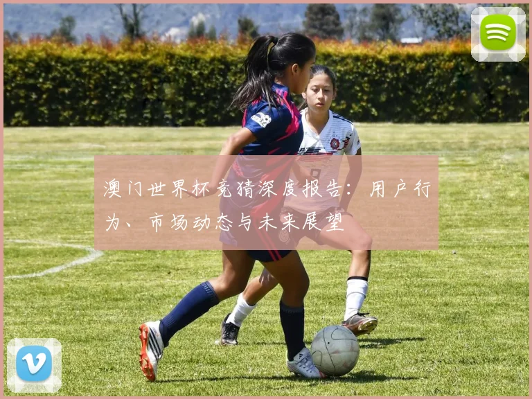 澳门世界杯竞猜深度报告：用户行为、市场动态与未来展望