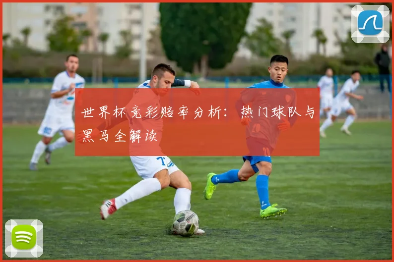 世界杯竞彩赔率分析：热门球队与黑马全解读
