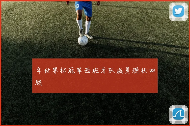 年世界杯冠军西班牙队成员现状回顾