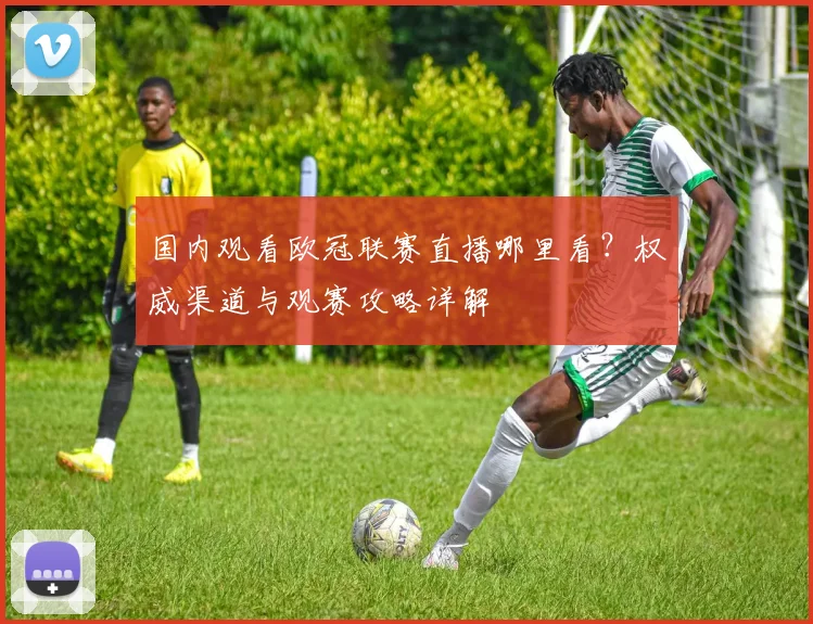国内观看欧冠联赛直播哪里看？权威渠道与观赛攻略详解