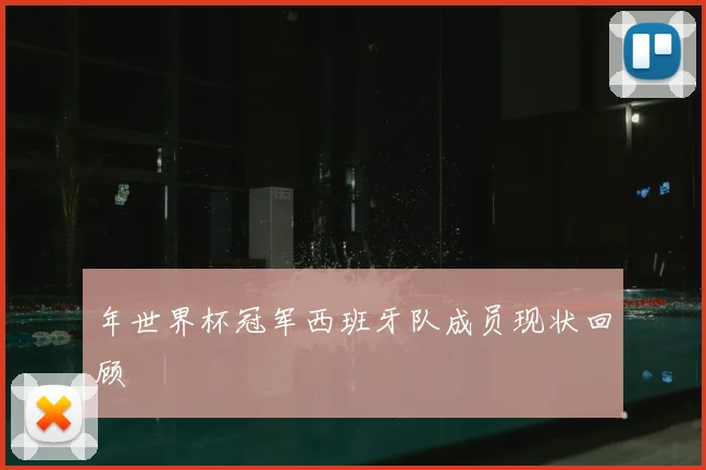 年世界杯冠军西班牙队成员现状回顾