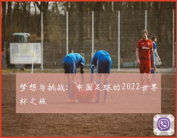梦想与挑战:中国足球的2022世界杯之旅