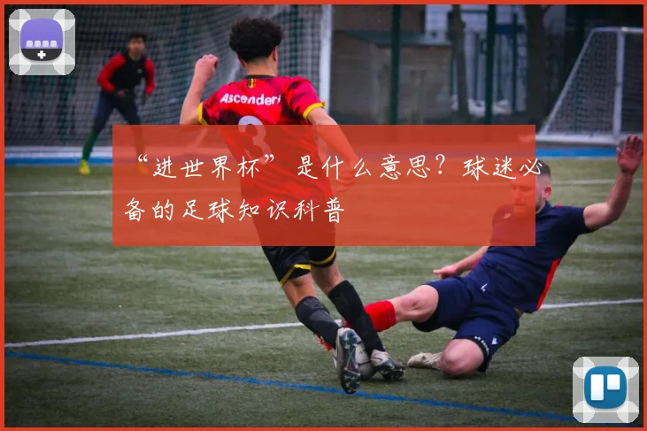 “进世界杯”是什么意思？球迷必备的足球知识科普