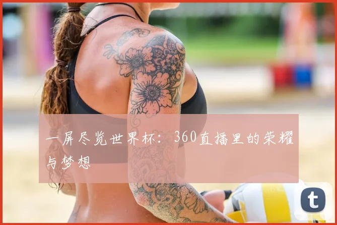 一屏尽览世界杯：360直播里的荣耀与梦想