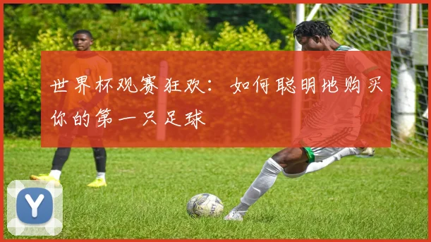 世界杯观赛狂欢：如何聪明地购买你的第一只足球