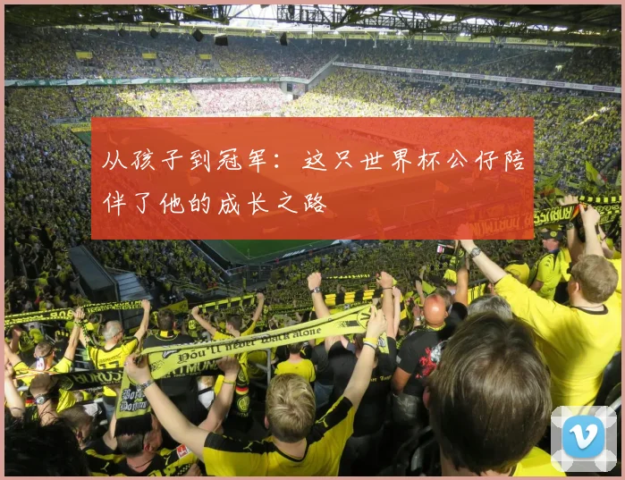 从孩子到冠军：这只世界杯公仔陪伴了他的成长之路