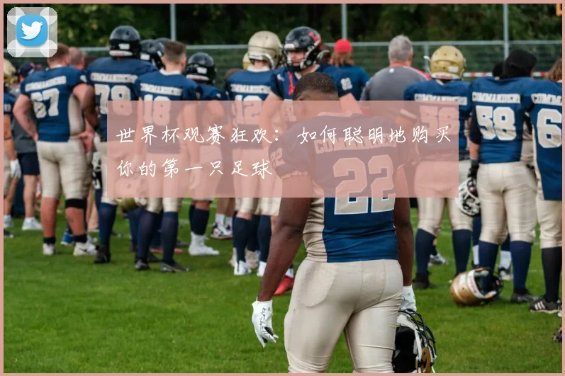 世界杯观赛狂欢：如何聪明地购买你的第一只足球