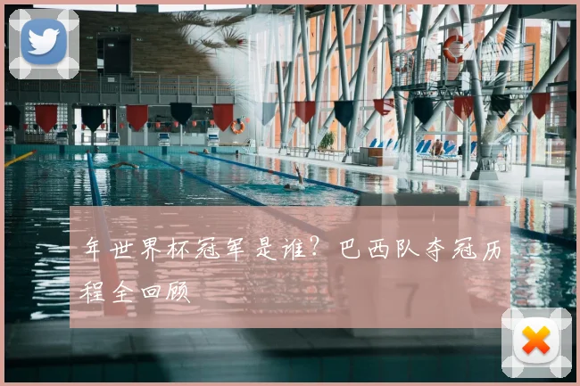 年世界杯冠军是谁？巴西队夺冠历程全回顾